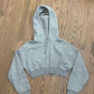 Aritzia Gray Cropped Hoodie